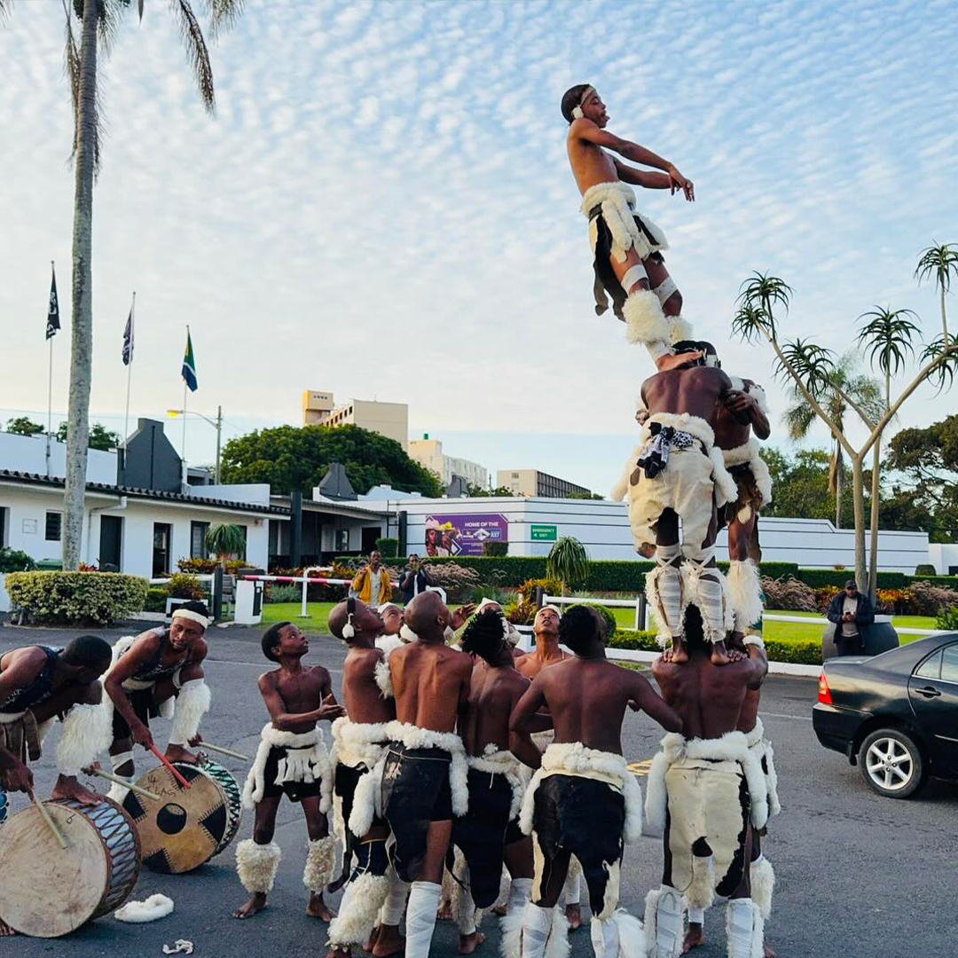 Kangaroo Dancers 4 Kangaroo Dancers 4